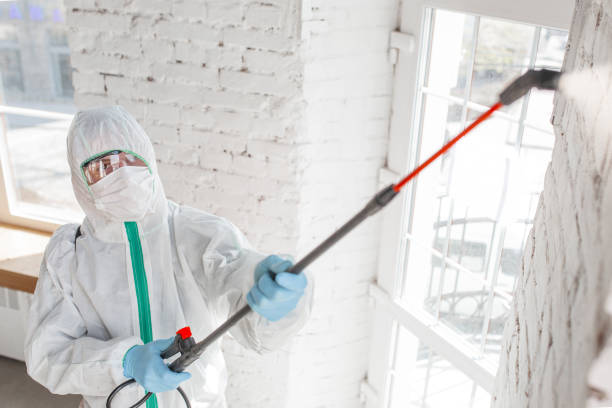 Best Industrial Mold Remediation  in Towaoc, CO