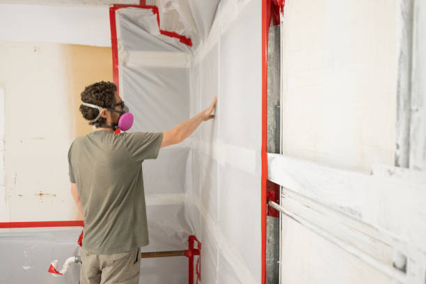 Best Emergency Mold Remediation  in Towaoc, CO