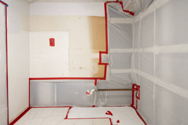 Best Attic Mold Removal  in Towaoc, CO