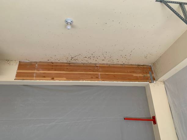 Best Indoor Air Quality Assessment  in Towaoc, CO